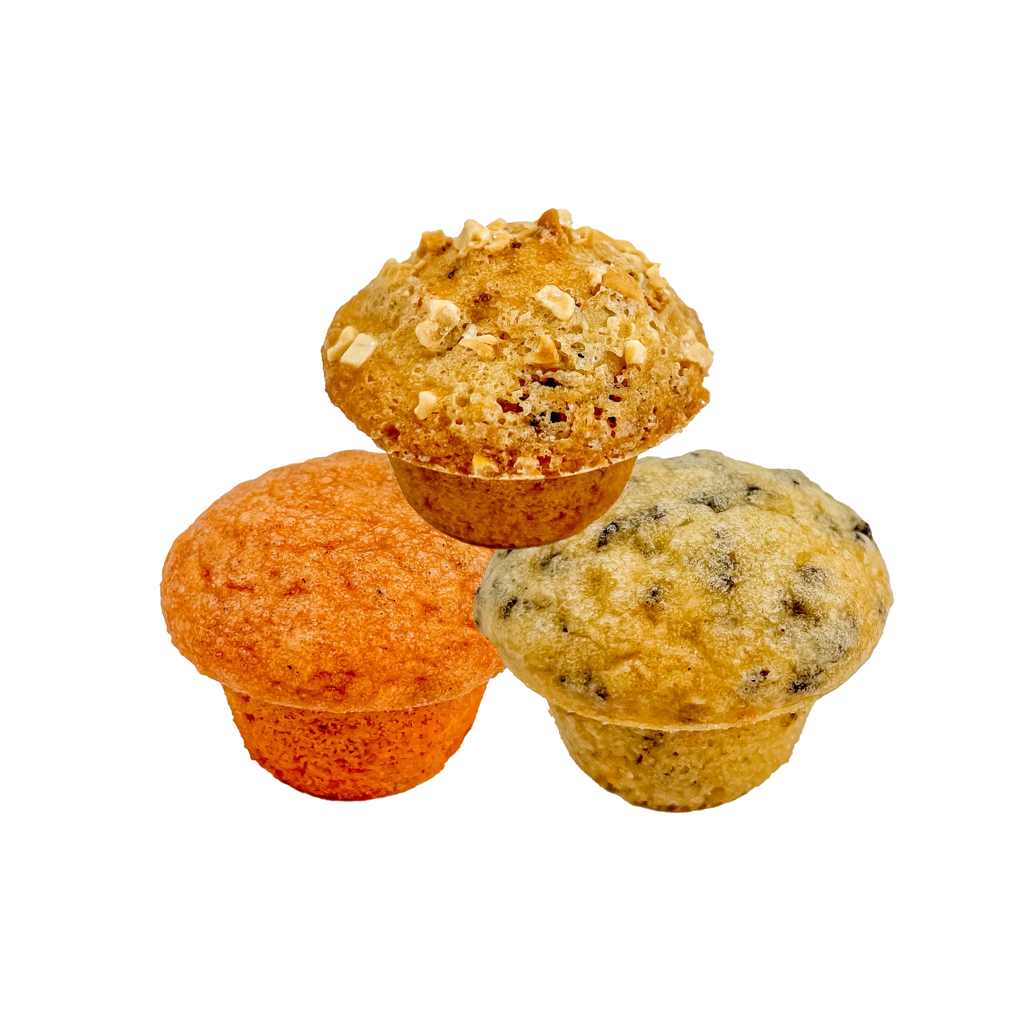 Bosco & Roxy's Muffin Like A Good Cup Of Joe