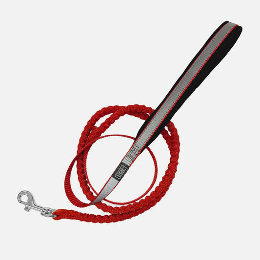 Cloe Cluzo Cat Reflective Bungee Leash Red