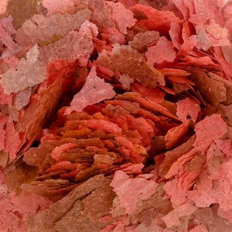 Tropical Colour Enhancing Fish Food - 40g