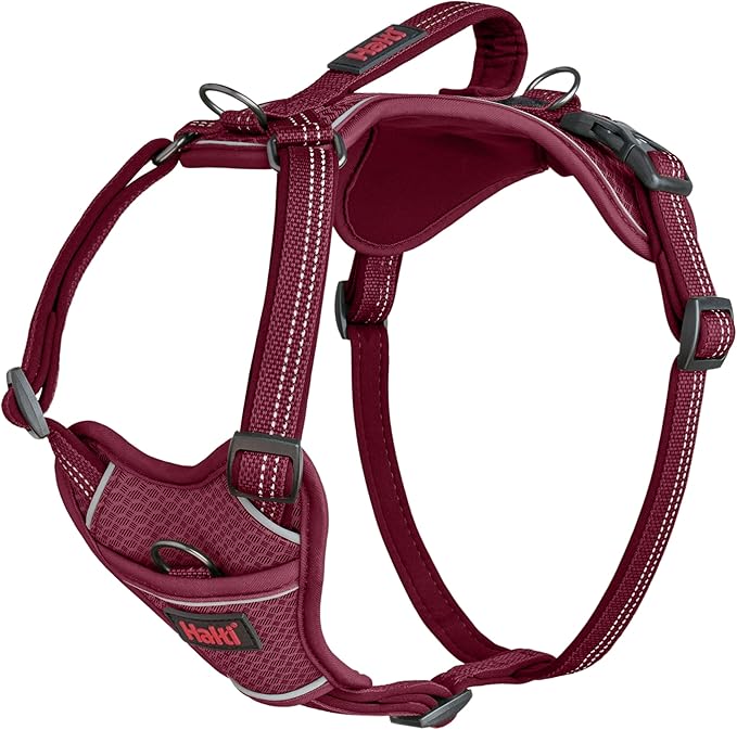 Halti Walk - Anatomy Harness Magenta S