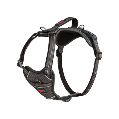 Halti Walk - Anatomy Harness Grey XL