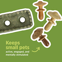 Living World Mushroom Grass Patch Toy