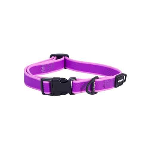 Rogz Amphibian Classic Dog Collar - XL Purple
