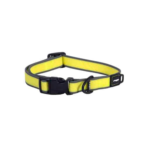 Rogz Amphibian Classic Dog Collar - Large Yellow