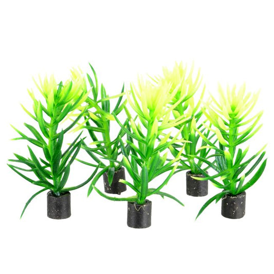 UT Green Bush Mini 5pk