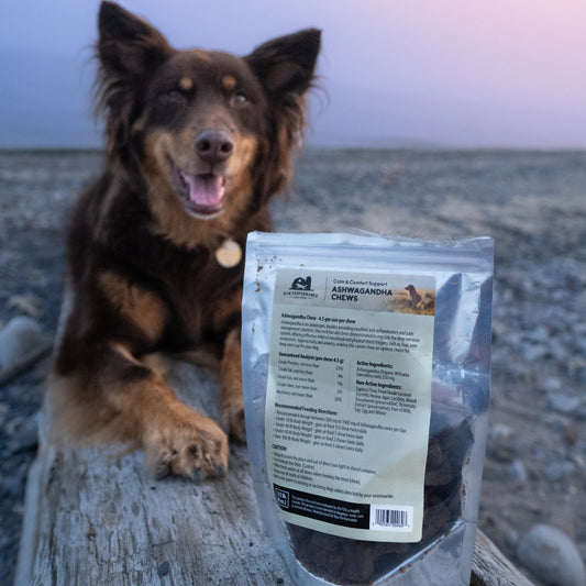 CLEARANCE Raw Performance Ashwagandha Chews (Expiry 03/2026)